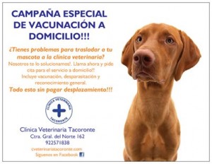 flyer vacunación domicilio