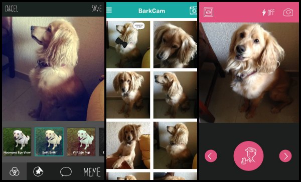 BarkCam